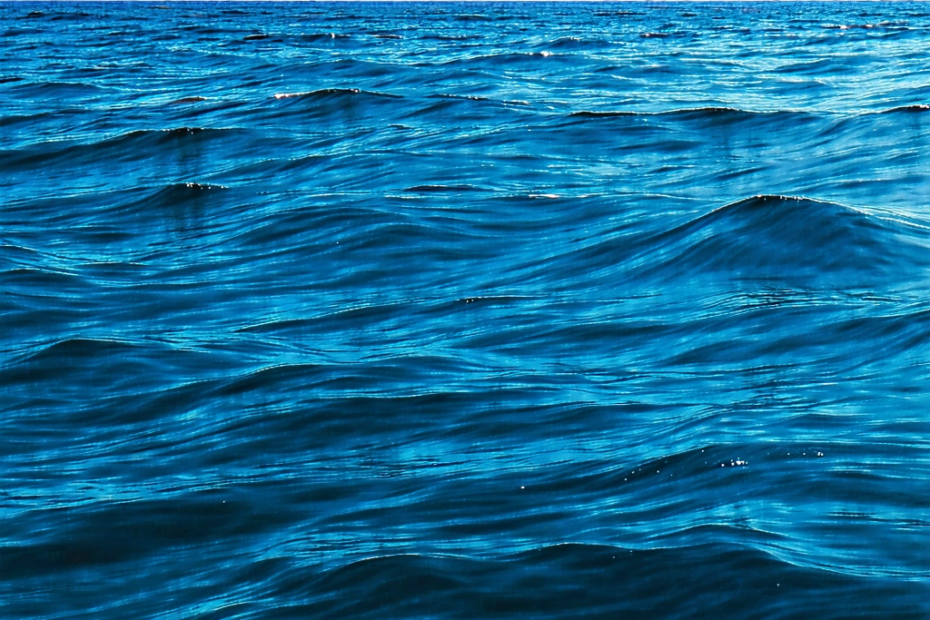 Les océans en surchauffe : une menace pour notre planète