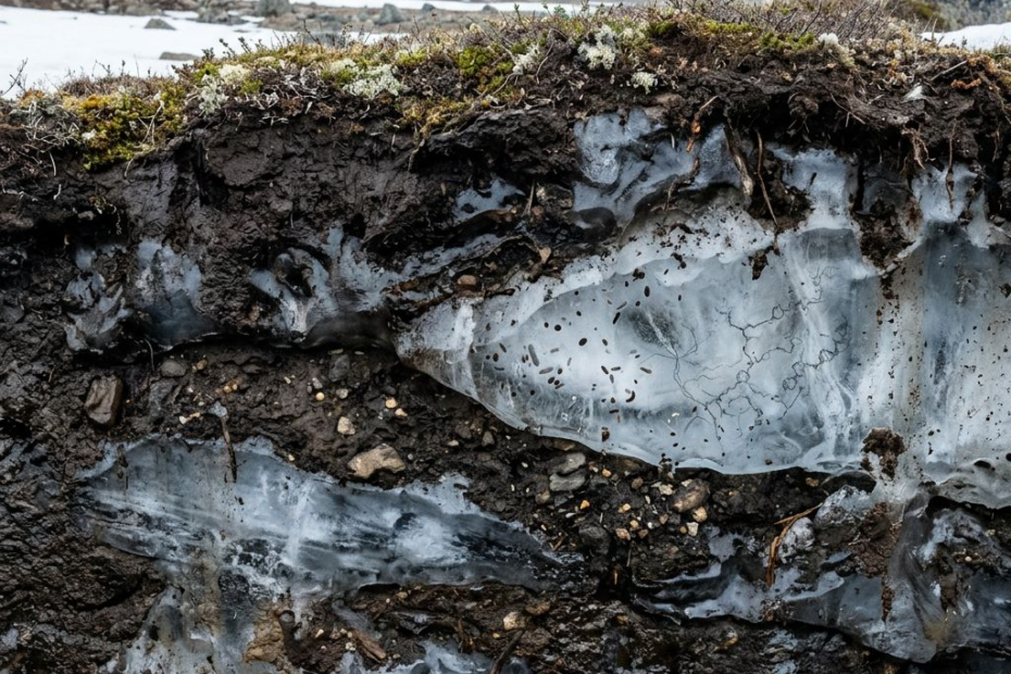 Sous la glace de l’Arctique, des microbes oubliés pourraient-ils inspirer de nouveaux médicaments ?